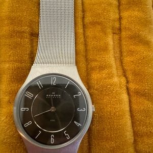 Skagen Watch